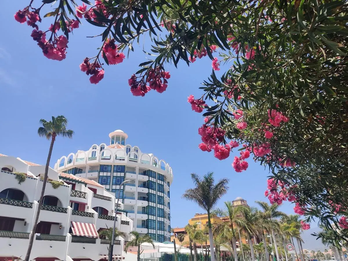 Апартаменты Seafront New Modern Плая-де-лас-Америкас